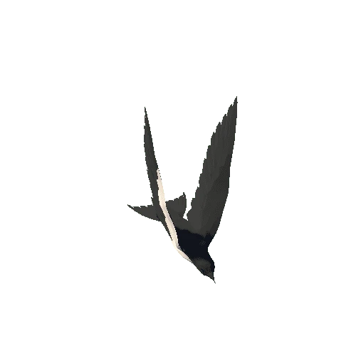 Low Poly Swallow 03 Variant